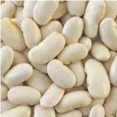 White Emergo Bean Seeds BN90-50_Base
